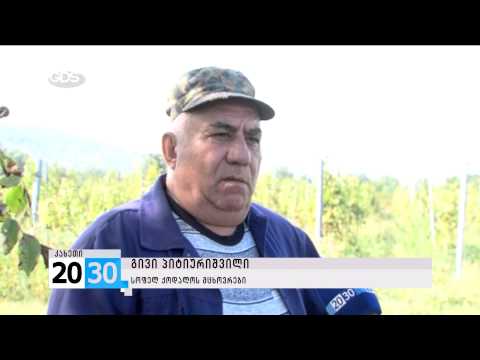 მევენახეთა პროტესტი /2030 (17.09.2015.)/