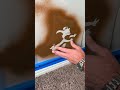 Dad fixes hole in kids bedroom 🕳🐁