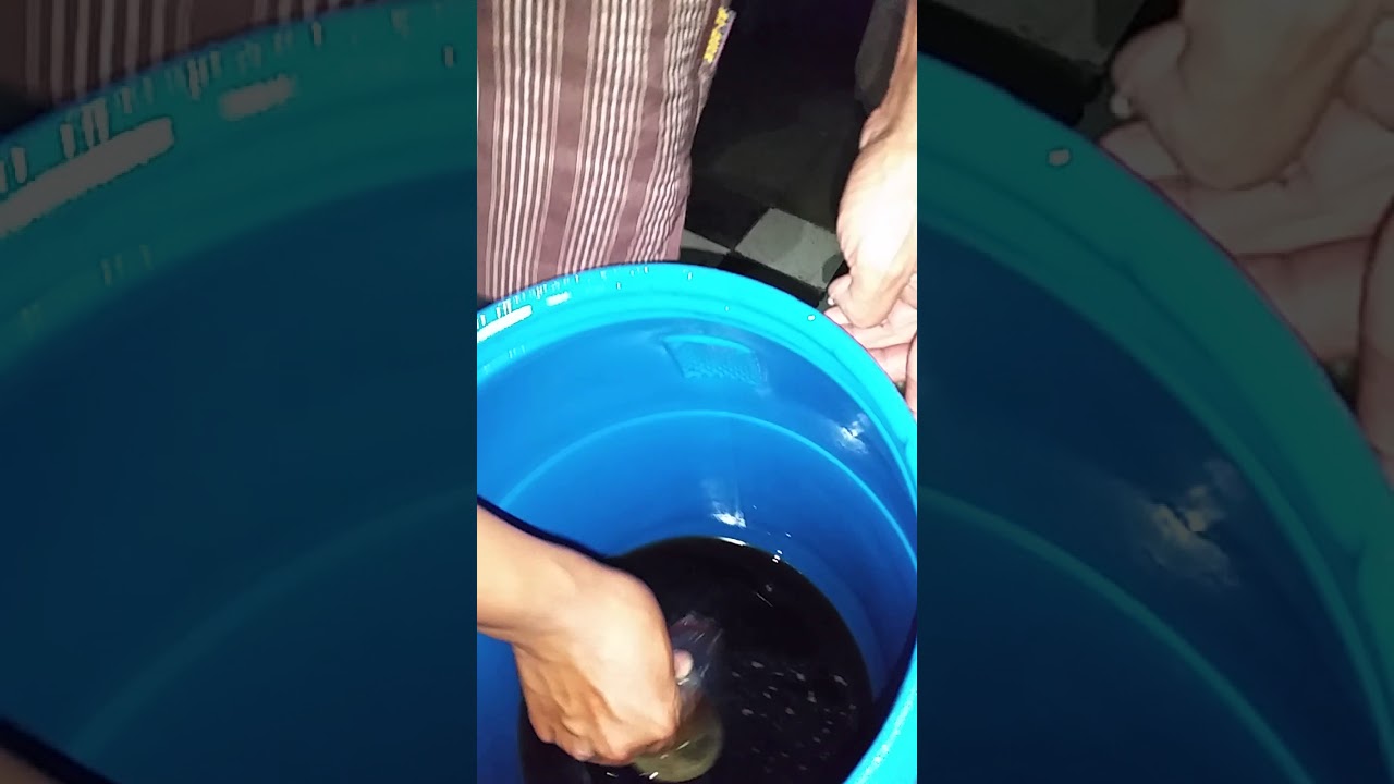 Contoh Madu Karet Asli - Petani Madu Karet Asli Solo - Jawa Tengah