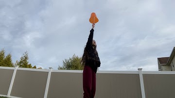 Circular Motion Bucket of Water II