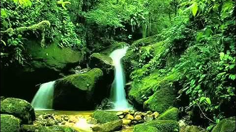 سلمان العتيبي - ماتيسر من سورة الصافات