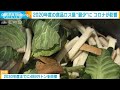 2020年度の食品ロス量が最少に　新型コロナが影響(2022年6月9日)