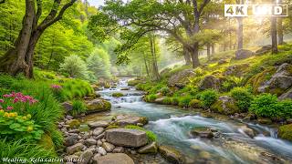 Soft music soothes the nervous system and refreshes the soul 🌿 stop overthinking &amp; stress relief