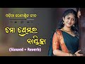 Mo Premara Nayika || ମୋ ପ୍ରେମର ନାୟିକା || Odia Romantic Song || Slowed + Reverb 