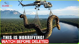 Download Lagu You don't see this every day! Most Gigantic Catches Of All Times Caught On Camera! MP3