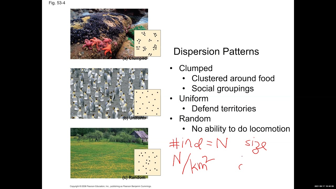 Video Lecture: Population Ecology