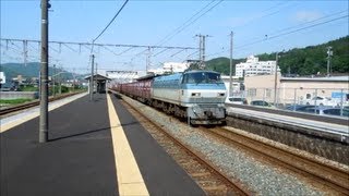 JR貨物 EF66-124号機[吹] 貨物列車5074レ【容赦ない大爆走!!!】