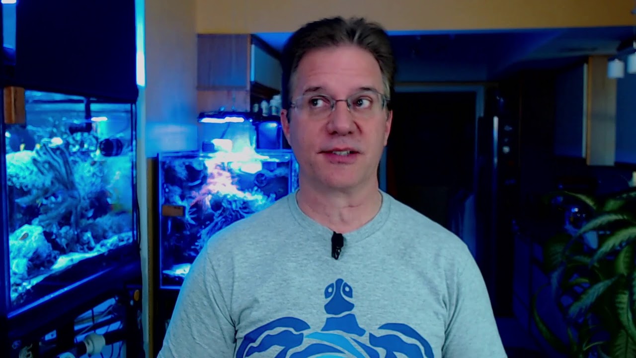 Let's talk about our reef language