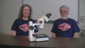 01262 Nile Red fluorescence