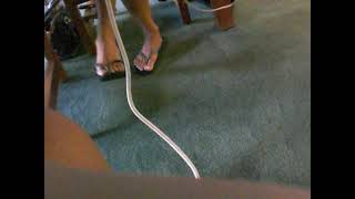 Dangling In Flip Flops