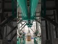 Advanced 60TPD Wheat Flour Milling Plant – Precision Engineering for Consistent Quality