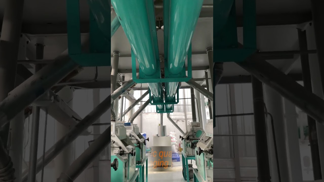 Advanced 60TPD Wheat Flour Milling Plant – Precision Engineering for Consistent Quality