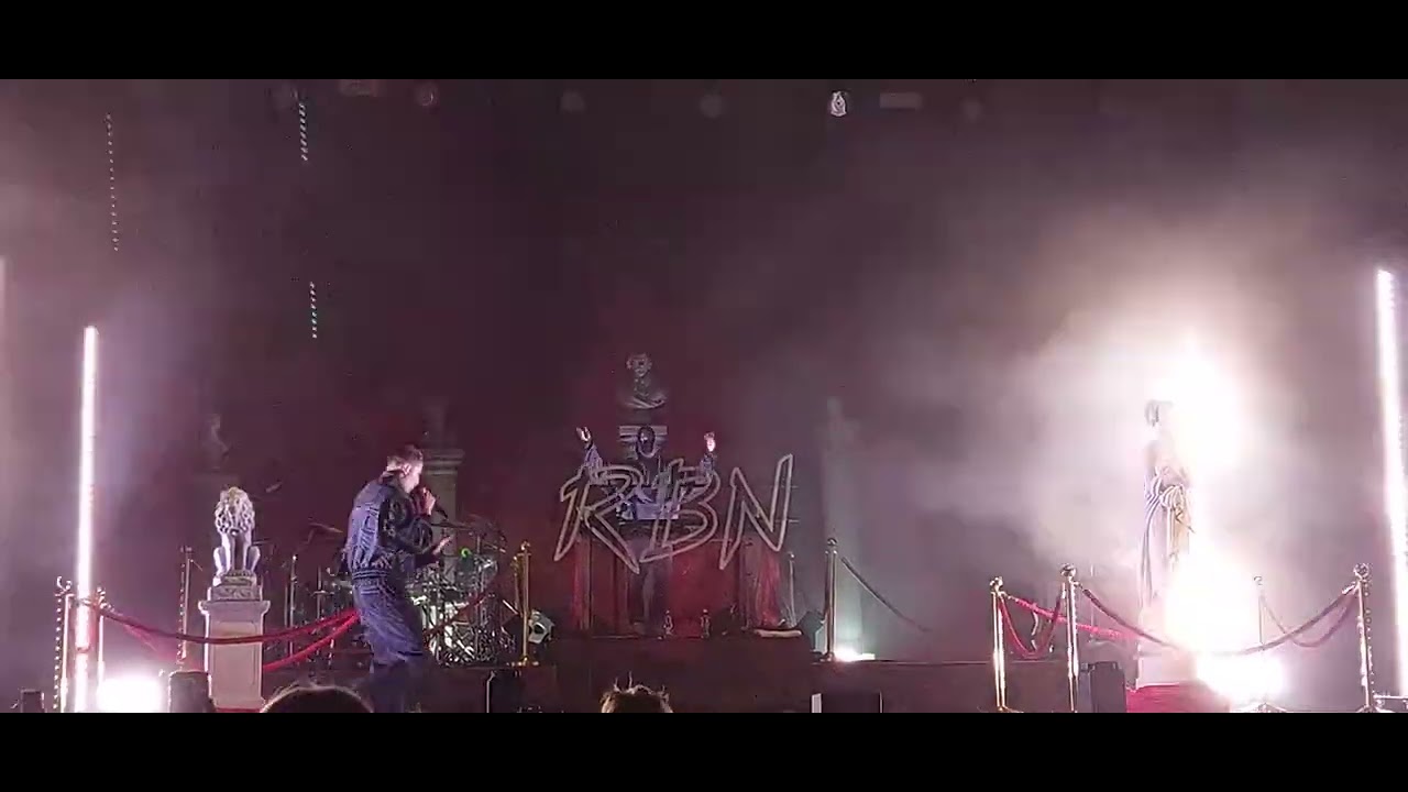 Robin Packalen - Häitä Pidelly (Alan Walker Remix) (Unreleased)