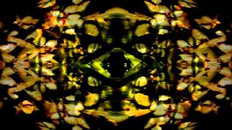 Structure of Player2011＿.mov