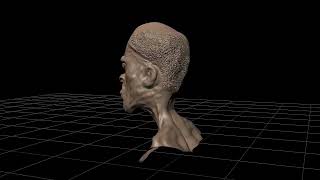 Head Sculpt, first attempt #mudbox