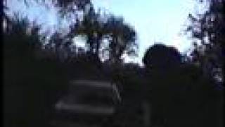 so-called baby bigfoot
