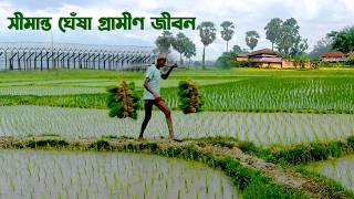নওগাঁর সীমান্ত ঘেঁষা মাটির ঘ্রাণে ভরা হাট-শাওলী গ্রাম | Panorama Documentary