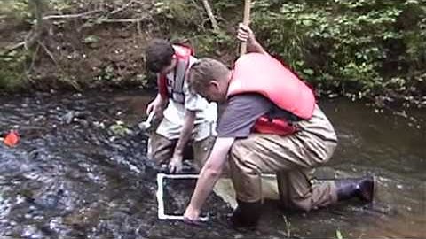 Effects of Urbanization on Stream Ecosystems