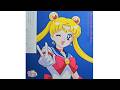 Pretty Guardian Sailor Moon: The 30th Anniversary Memorial Album LP.