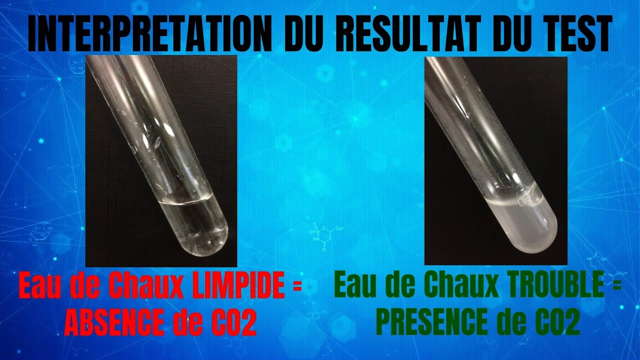 Comment détecter le dioxyde de carbone (CO2) ? (ChimieCollège) YouTube Comment détecter le dioxyde de carbone (CO2) ? (ChimieCollège) YouTube