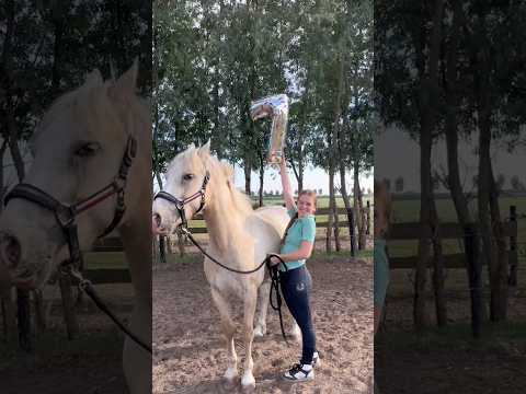 Donny 7 jaar🎈💗🥳 #paarden #horse #birthday #younghorse