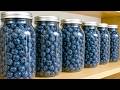 Fresh Blueberries in Jars Stay Like Freshly Picked for Years — No Sugar, No Freezer