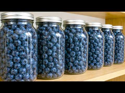Fresh Blueberries in Jars Stay Like Freshly Picked for Years — No Sugar, No Freezer