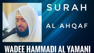 SURAH AL AHQAF| AlQURAN | WADEE HAMMADI AL YAMANI | NICE VOICE AND RECITATION#oneummah #quranhadees