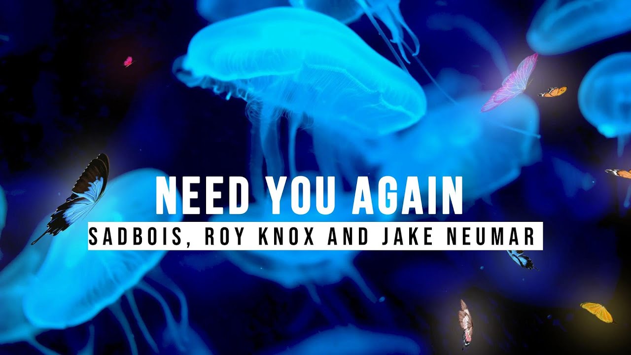 SadBois, ROY KNOX, Jake Neumar - Need You Again (With Lyrics) | Soundscapes - No Copyright Music