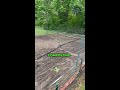 This Is What Mushroom Compost Can Do
