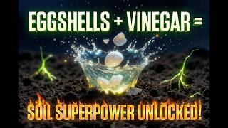 Eggshells + Vinegar = SUPER Soil in 24 Hours! The Secret Gardeners Don’t Want You to Know 🌱