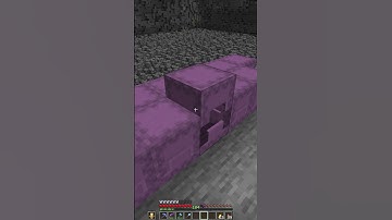 Shulkers of Materials #minecraft #shorts