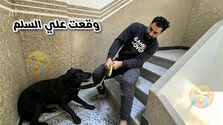 كلبتي شكلاته وقعت علي السلم ومش عارف اطلعها علي السطح | ربنا يسطر علي الي في بطنها😭