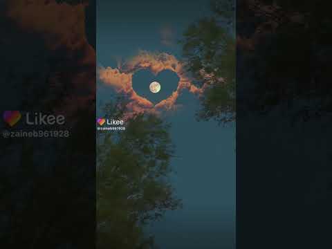 تشبه لحظة دخولك الى حياتي