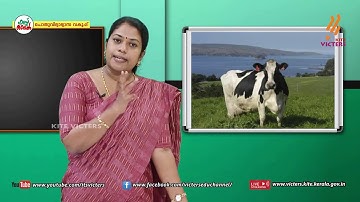 KITE VICTERS Plus Two Botany Class 33 (First Bell-ഫസ്റ്റ് ബെല്‍)