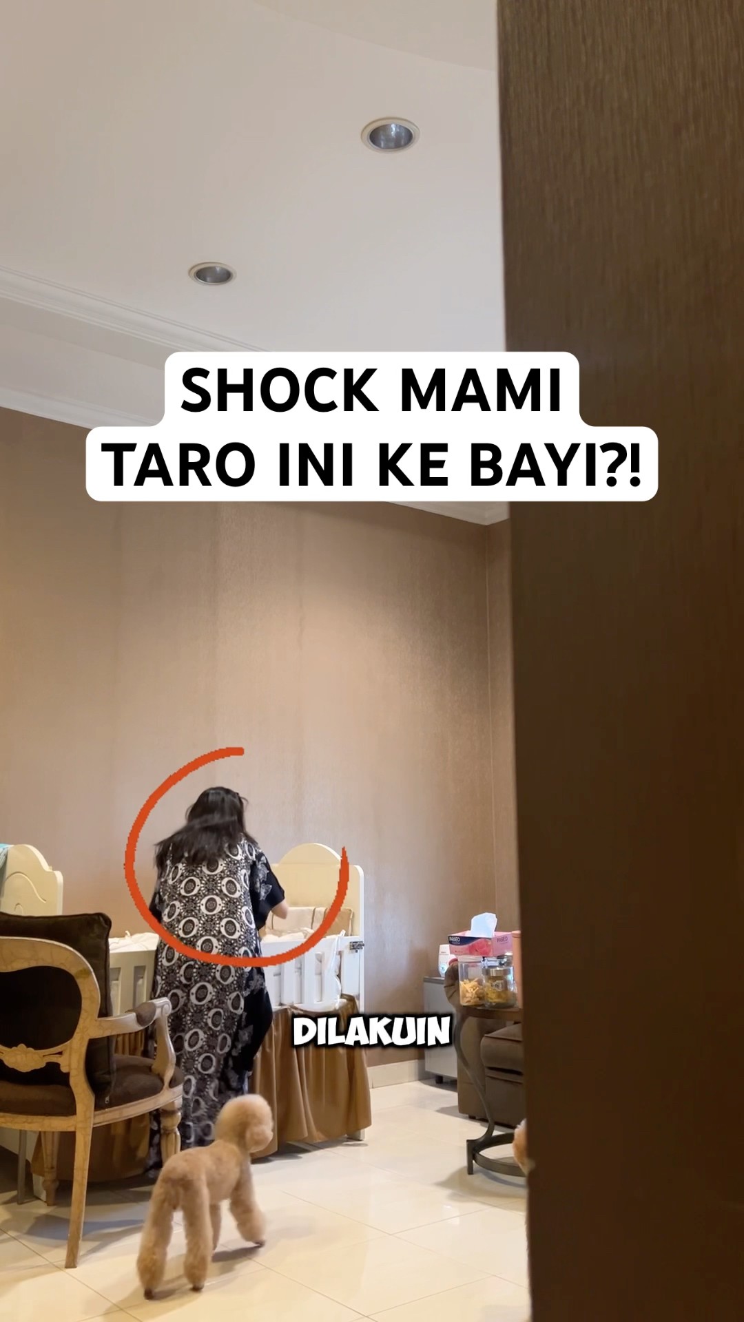 MAMI TARO INI KE BAYI ?!!