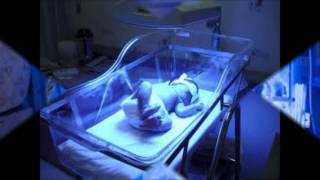 BIOE 401 Final Project Video