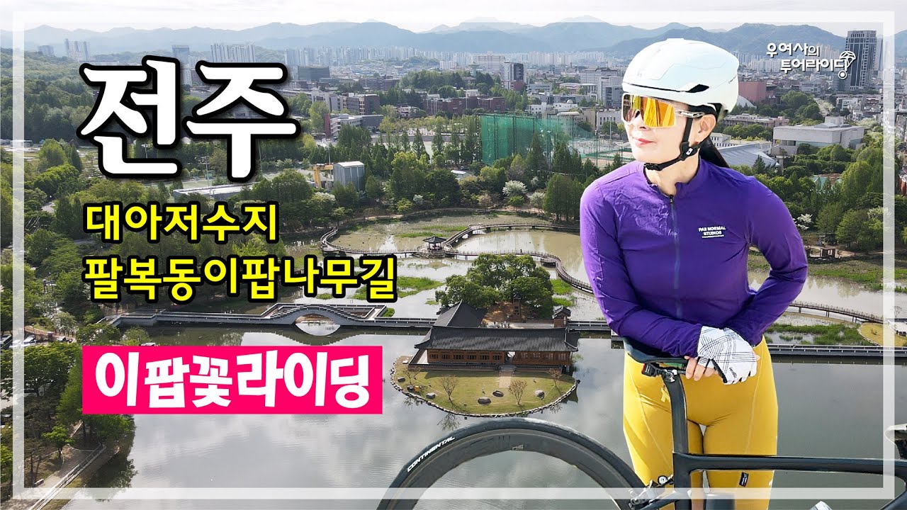 전주 이팝꽃 투어 (덕진공원-구이면-율치-대아저수지-만경강) '25.05.05.