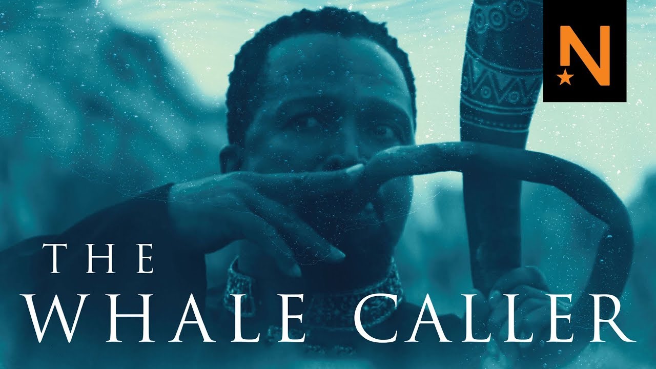 The Whale Caller