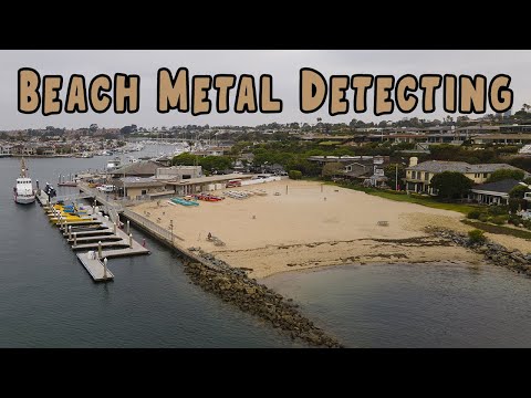 Beach Metal Detecting | Minelab Equinox 800 Detecting