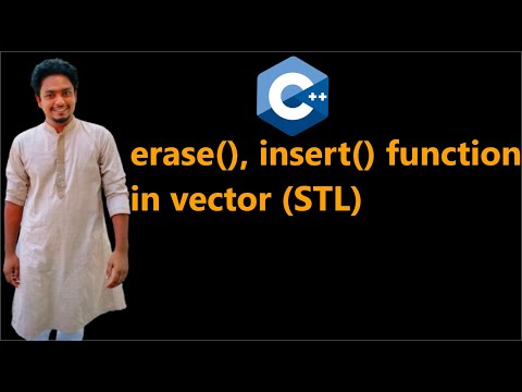 05 vector erase and insert function