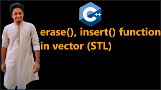 05 vector erase and insert function