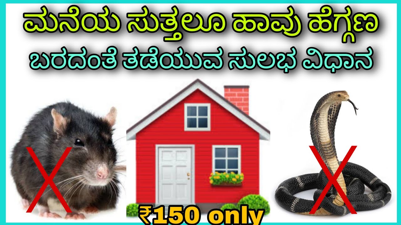Solution for snakes and rats near home.Kannada. - YouTube