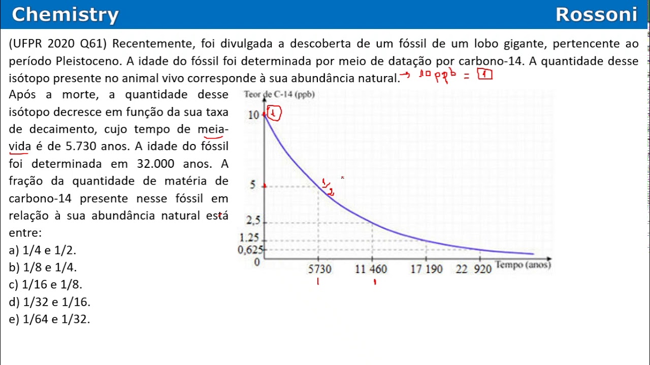 Planilha De Grafico De Meia Vida