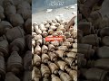 Wooden Handicraft funding finishing Manufacturing India #shorts #youtubeshorts #woodworking #lifeart