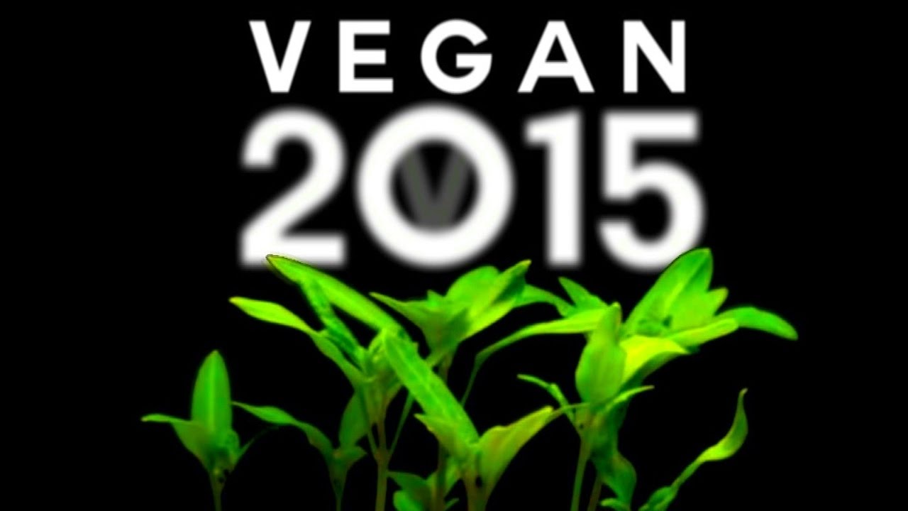 VEGAN 2015 The Film YouTube