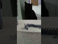 Sub
