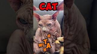 Animals Without Hair That Will Shock You!