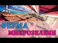 Ферма микрозелени (БОЛЬШОЙ репортаж) - получится, но не у всех. #микрозелень #ситифермер