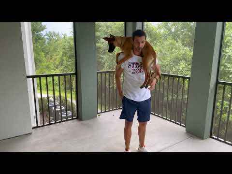 Related Embedded Video Item Thumbnail